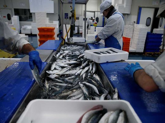 French workers fish plant mackerels