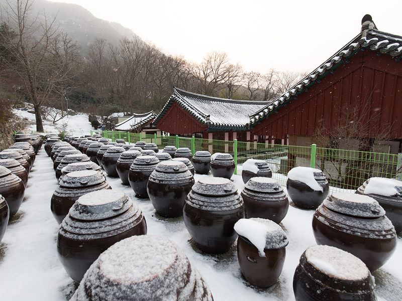 Korean traditional jars Hangari 