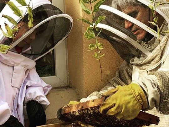 Dubai beekeeper