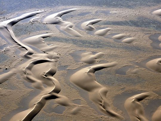 dunes