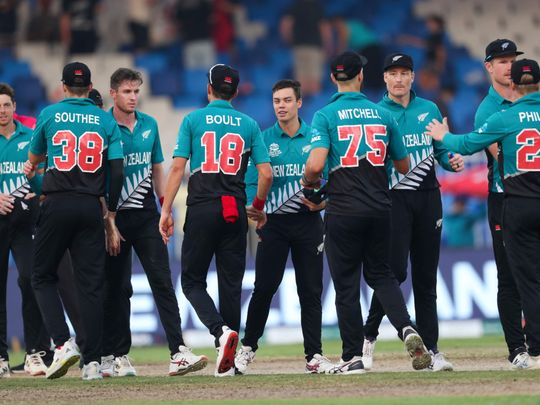 Copy of Emirates_T20_World_Cup_Cricket_31921.jpg-318e5-1636131385482