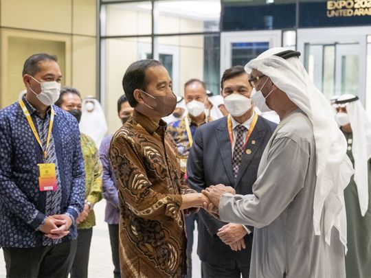 Sheikh Mohamed bin Zayed Al Nahyan with President of Indonesia Joko Widodo