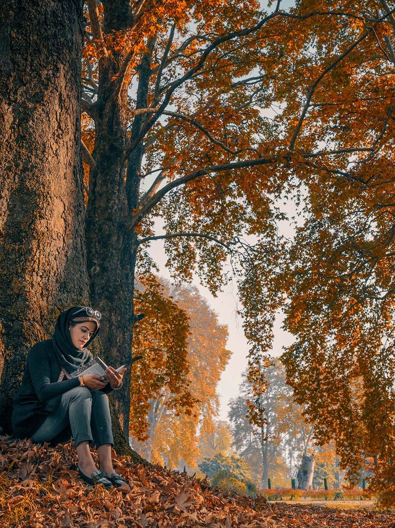Autumn Kashmir
