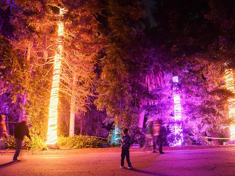Lightscape, an light display at the Los Angeles County Arboretum and Botanic Garden