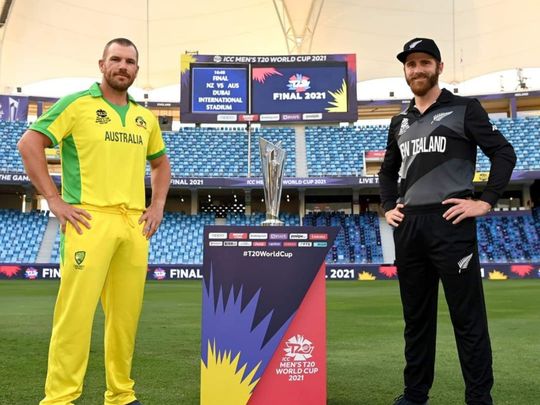 Aaron Finch and Kane Williamson ahead of the T20 World