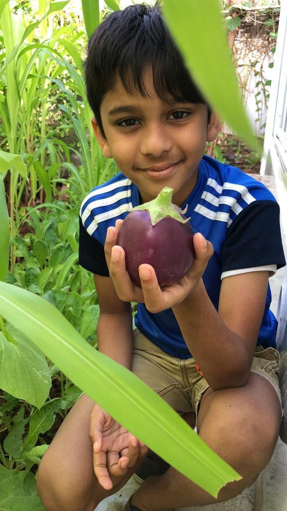 Ayyan Ali Ayyubi displaying his fresh harvest42-1636866377482