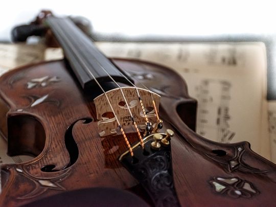 violin stock