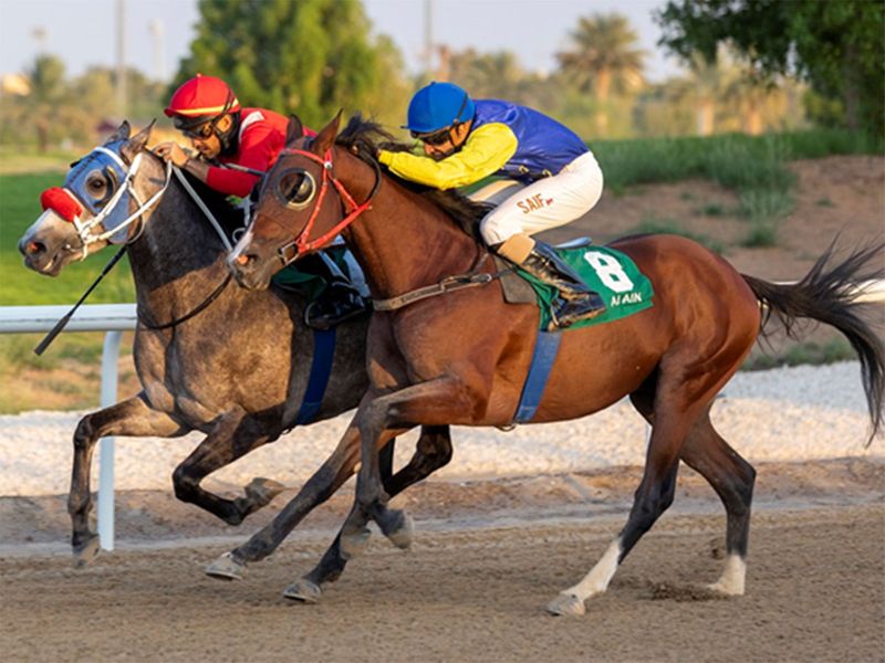 Majad Baynoonah wins by a head from Yas Xmnsor and Saif Al Baloushi