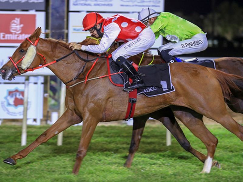 Richard Mullen wins Al Qudra Desert Conditions event over a mile at Abu Dhabi onboard Nadhra. 