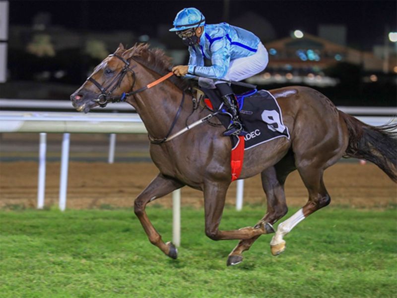 Xavier Ziani wins the 1,600m Al Marmoom Desert Conditions event with Mailshot