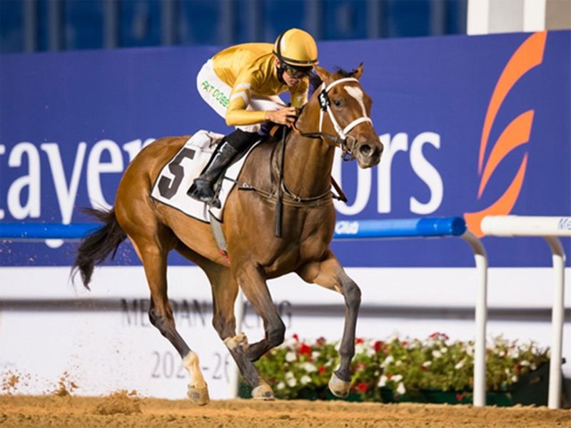 Mnasek cantering home to win the UAE Oaks at Meydan in February this year.