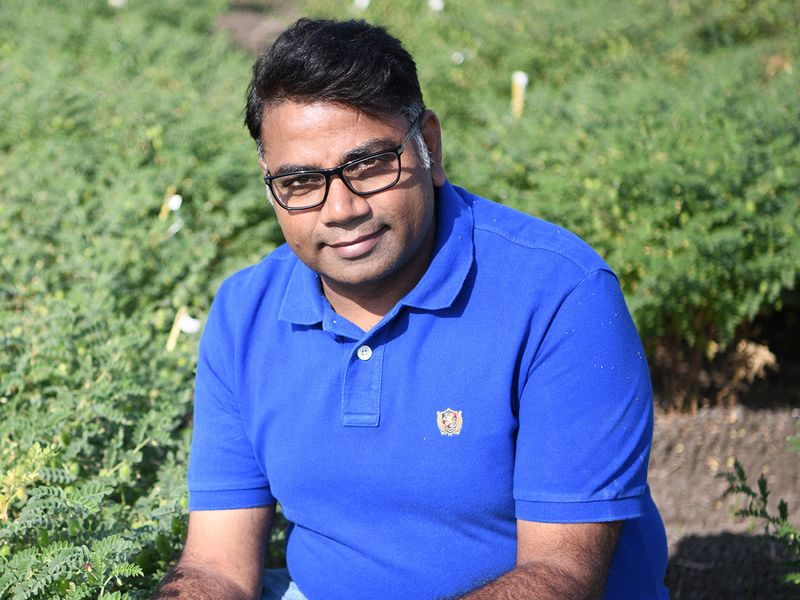 Prof. Varshney plans to leverage the power of AI in chickpea crop improvement