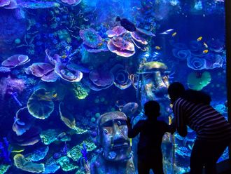 Discover Abu Dhabi this Eid: Top indoor attractions