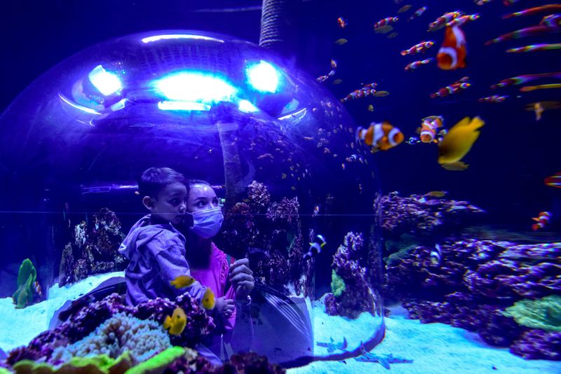 Watch All you need to know about The National Aquarium, Abu Dhabi’s