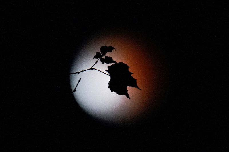 Copy of APTOPIX_Maryland_Lunar_Eclipse_57752.jpg-3838b-1637388373499