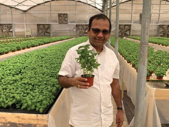 Chandran KG, CEO, Greenoponics Agricultural Services LLC