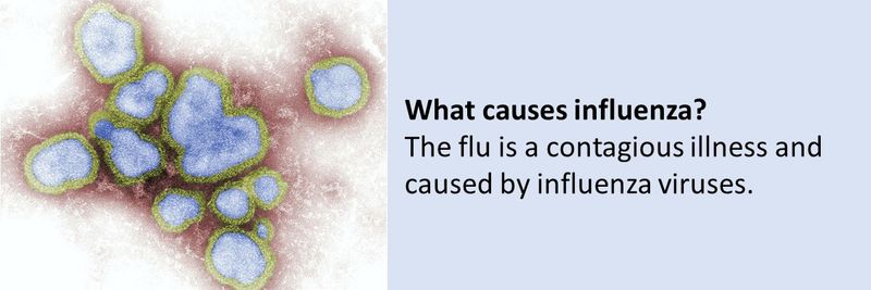 What causes the flu?