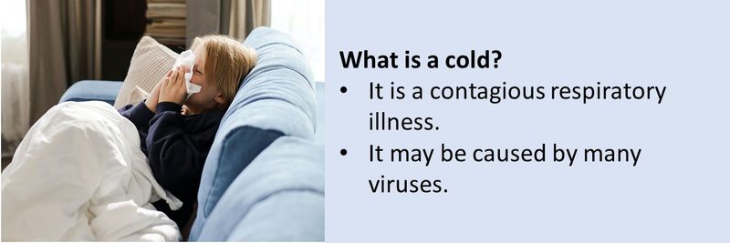 What is a cold?