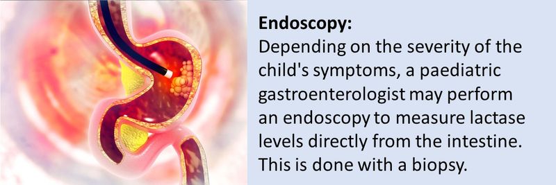 Edoscopy