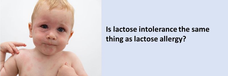 Is lactose intolerance the same thing as lactose allergy?