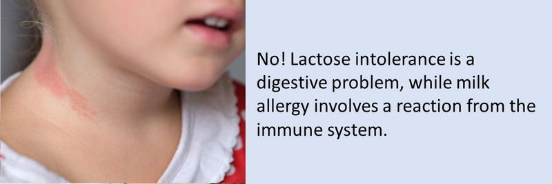 Is lactose intolerance the same thing as lactose allergy?