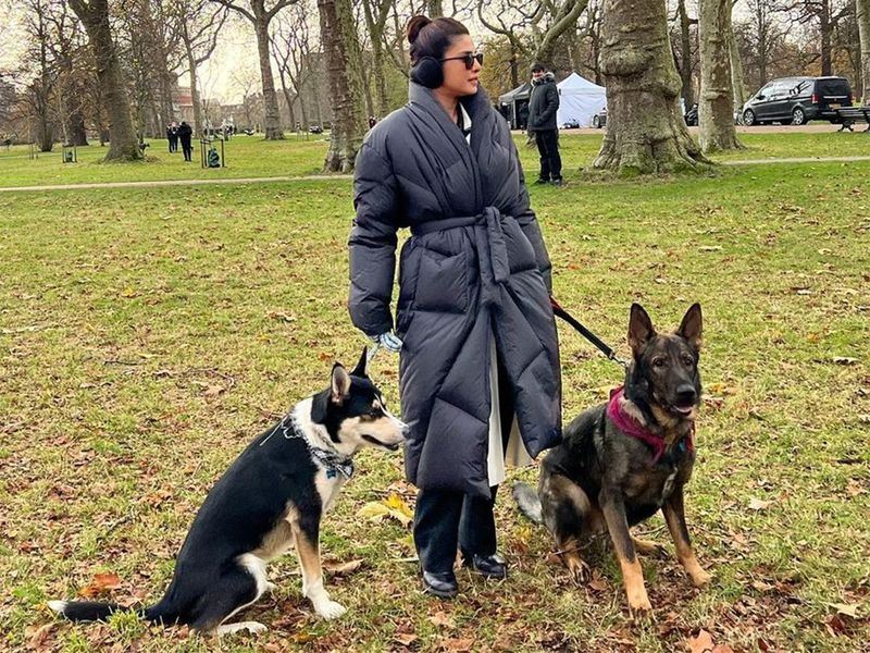 Priyanka Chopra Jonas with two of her three dogs on set
