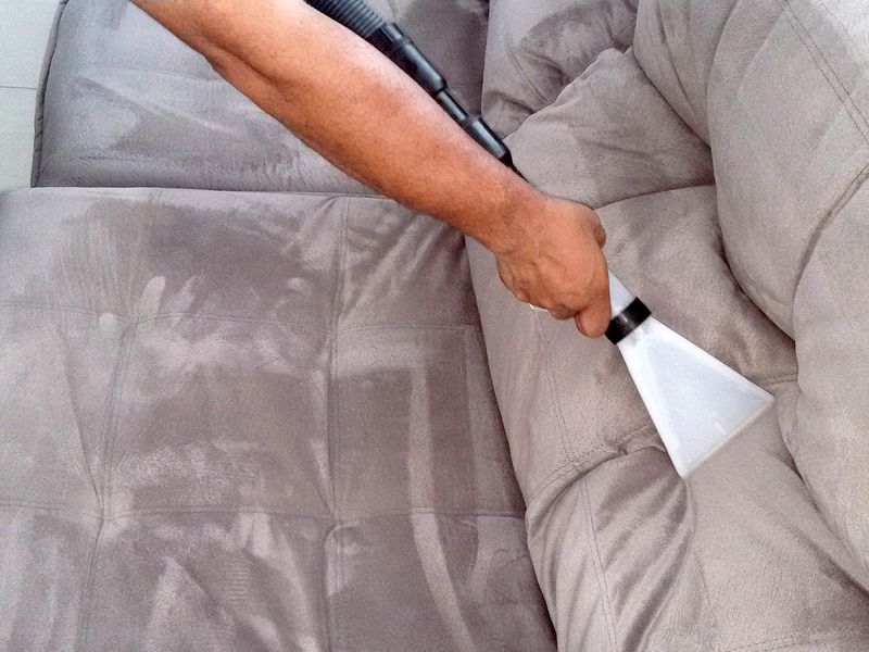 sofa cleaning stock