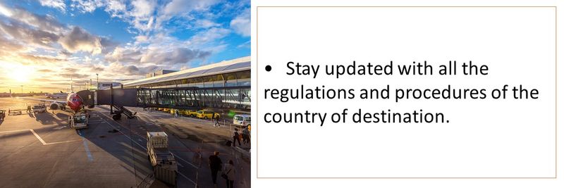 Stay updated with all the regulations and procedures of the country of destination.