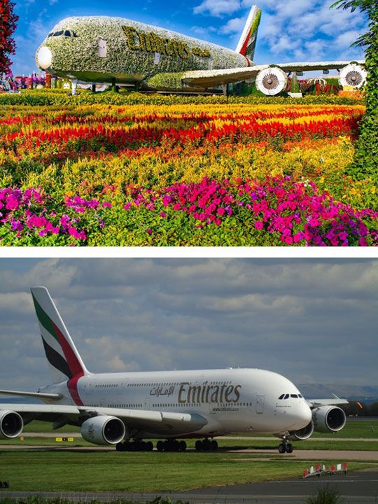 Dubai Miracle Garden