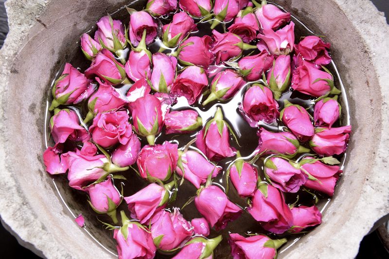 In Turkish cuisine, rose water and rose petals are widely used in many dishes