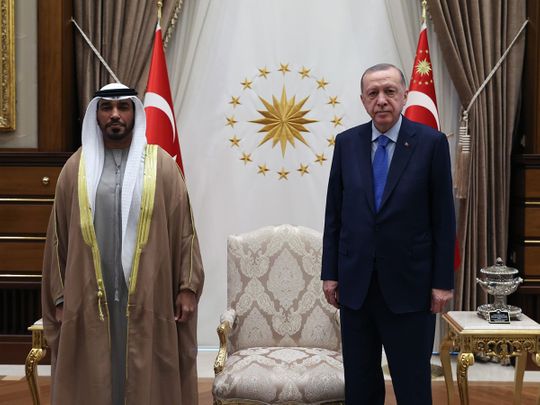 UAE ambassador presents credentials to President of Turkey | Government ...