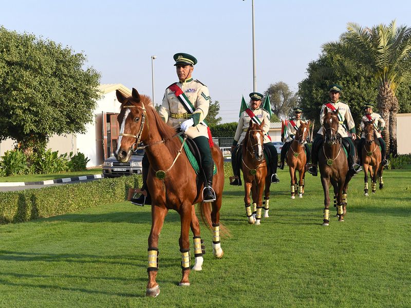 Dubai_Mounted_Police-_Safety,__Security,_Beauty_and_Presence_(1)-1642236238567