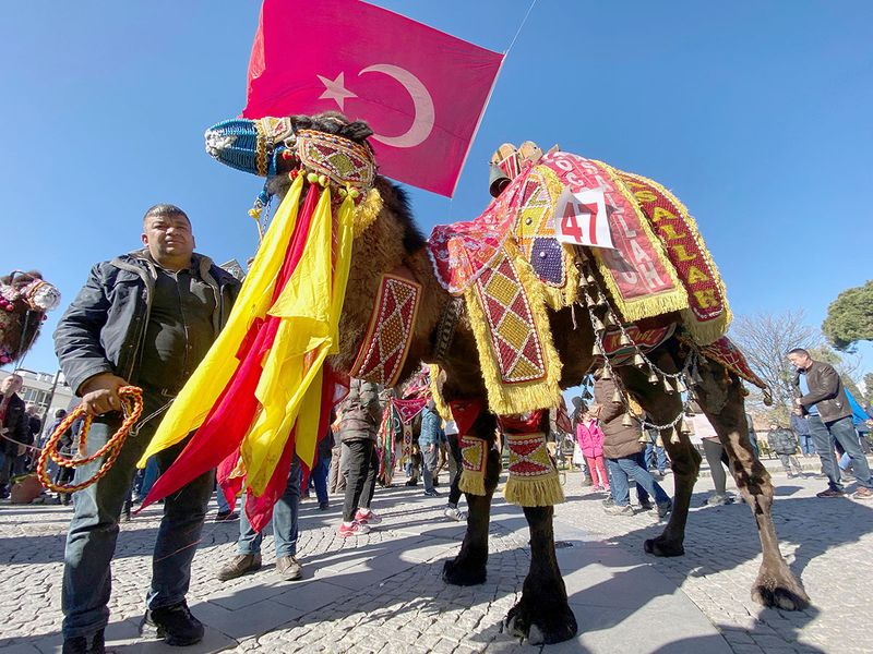 TURKEY-CAMEL gallery