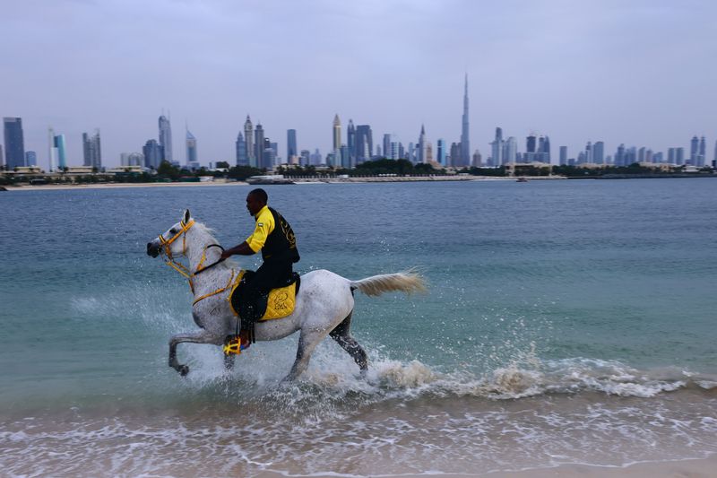 A horse gallops through the Dubai coastline