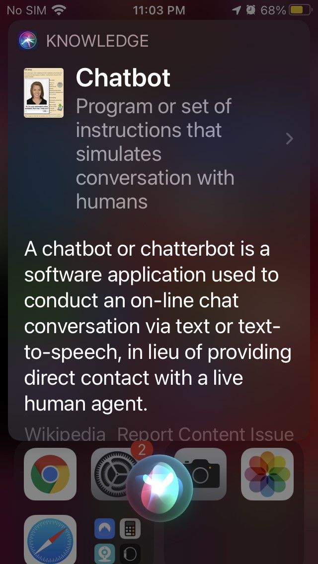 Hey Siri what is a chatbot