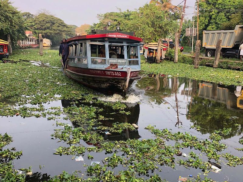 WIN 220125 Alleppey