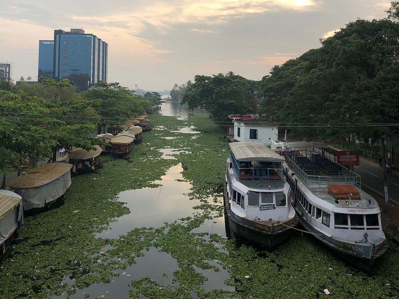 WIN 220125 Alleppey