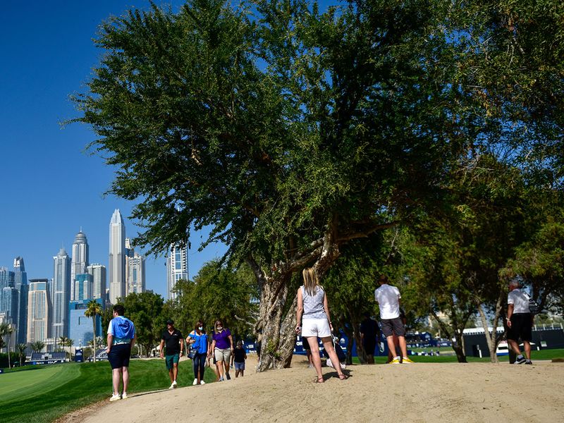 Fans take in the action at the Slync.io Dubai Desert Classic 