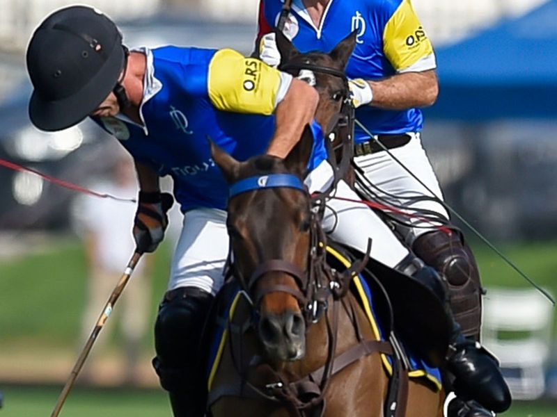 In polo 'the role of the horse is about 60-70 per cent and the remaining is that of the player'