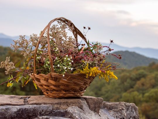 Cottagecore basket of flowers 
