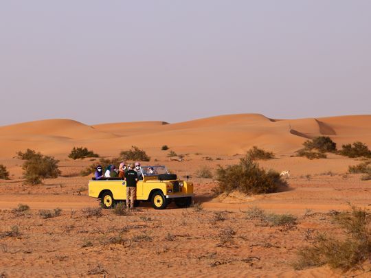 Desert Safari 