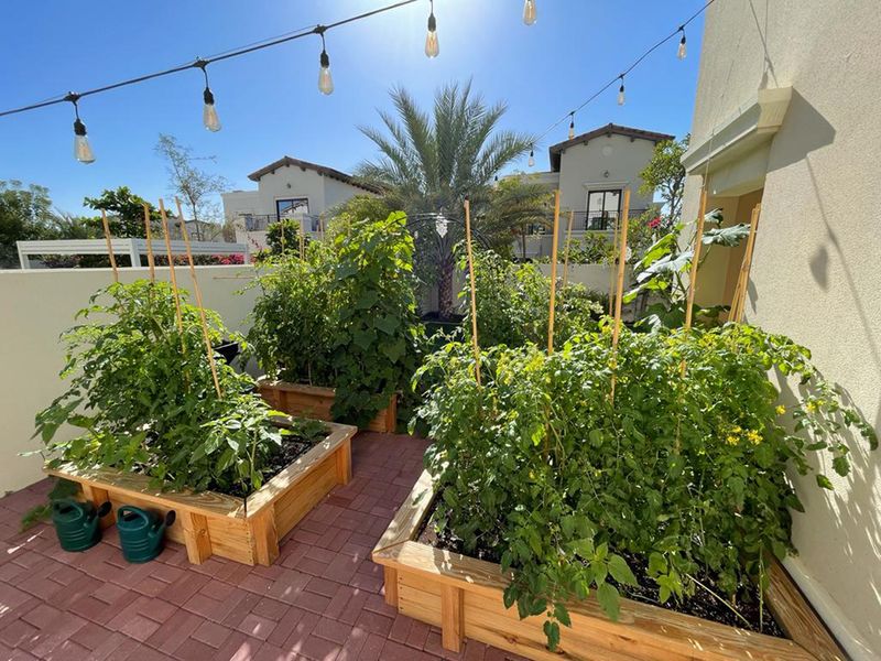 dad-and-daughter-duo-gardening-food