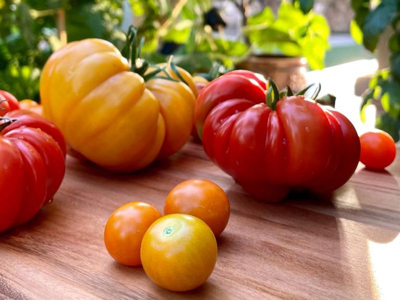 dad-and-daughter-duo-gardening-food