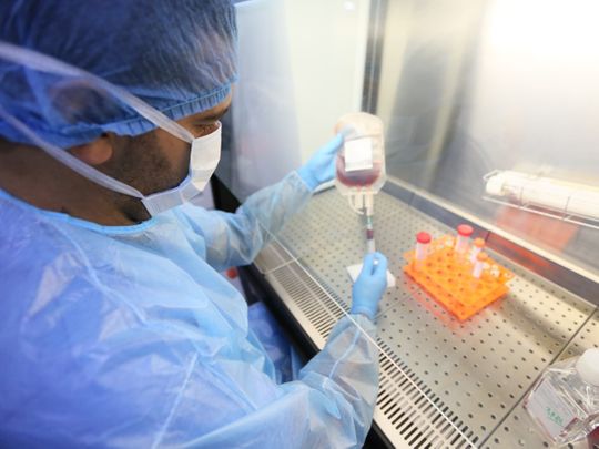 stem cells for bone marrow transplant in Abu Dhabi