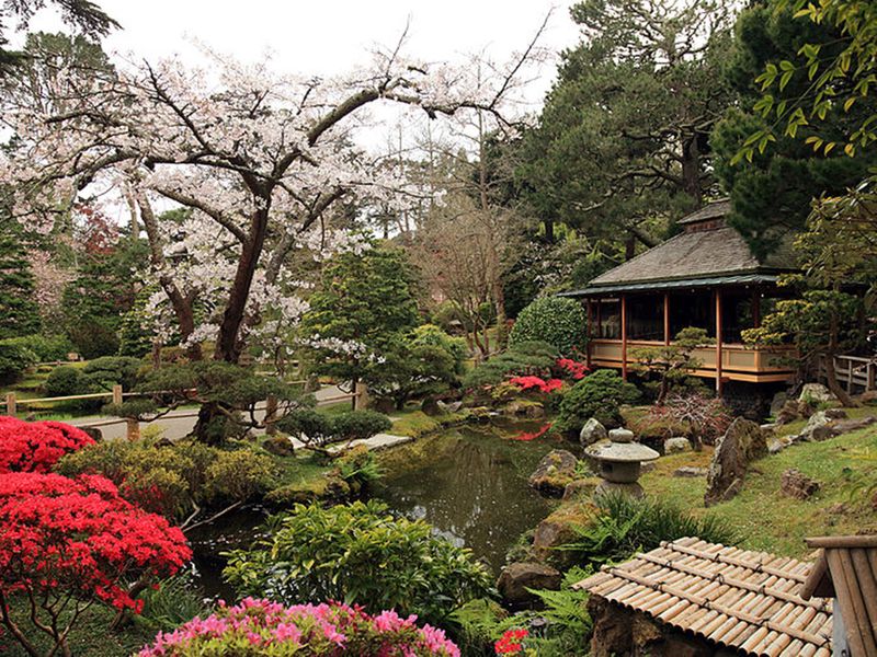 japanese-tea-garden-wikimedia-commons