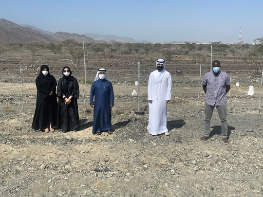 Fence installs at Al Hafiya Reserve 331-1646025534625