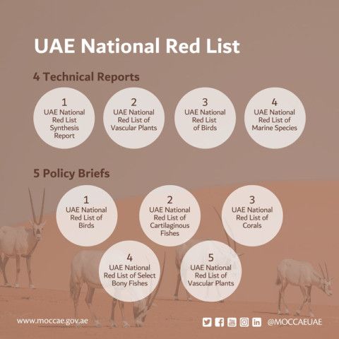 National Red List 661-1646399500514