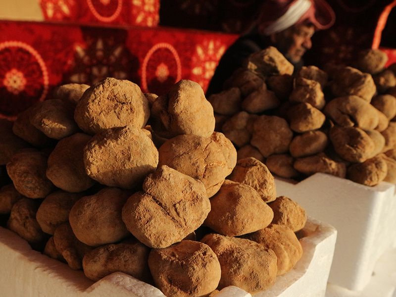 desert-truffles-in-the-uae
