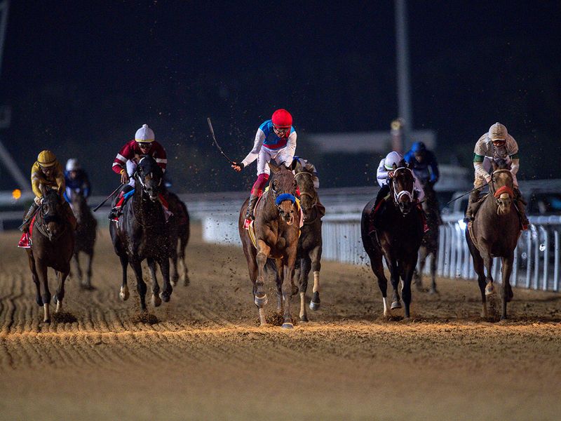 Country Grammer, ridden by jockey Frankie Dettori and trained by Bob Baffert, wins the  Dubai World Cup 