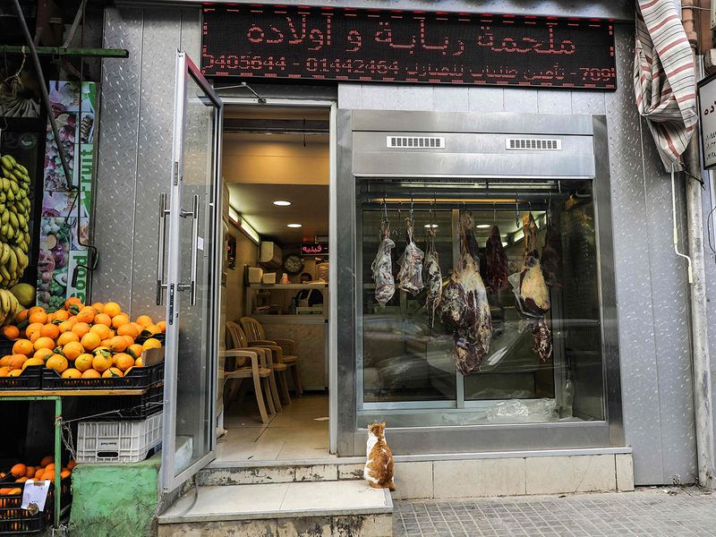 In this file photo taken on January 24, 2019 a cat stares at meat hanging in a fridge window of a butcher's shop in Lebanon's capital Beirut.  